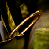 Classic Bamboo