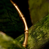 Classic Bamboo